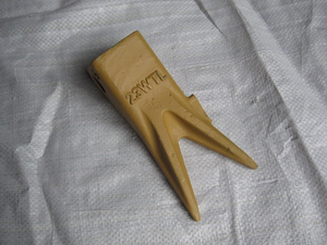 23WTL التوأم النمر ذو الأسنان الطويلة 